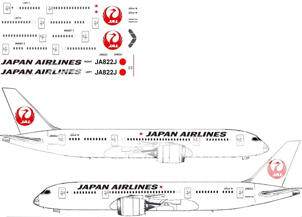 JAL787-8-1.jpg