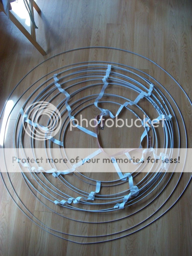 cage crinoline over steel bones