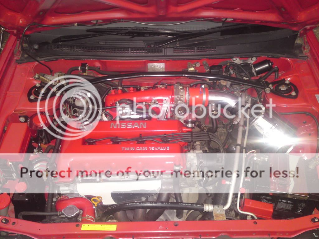 DSC005242.jpg?t=1305467925