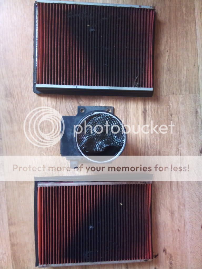 DSC_0197.jpg?t=1285412818