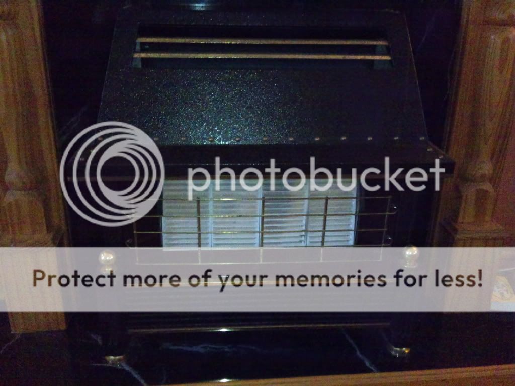 DSC_0237.jpg?t=1287850618