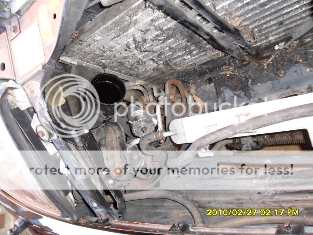 SAM_0308.jpg?t=1298817022