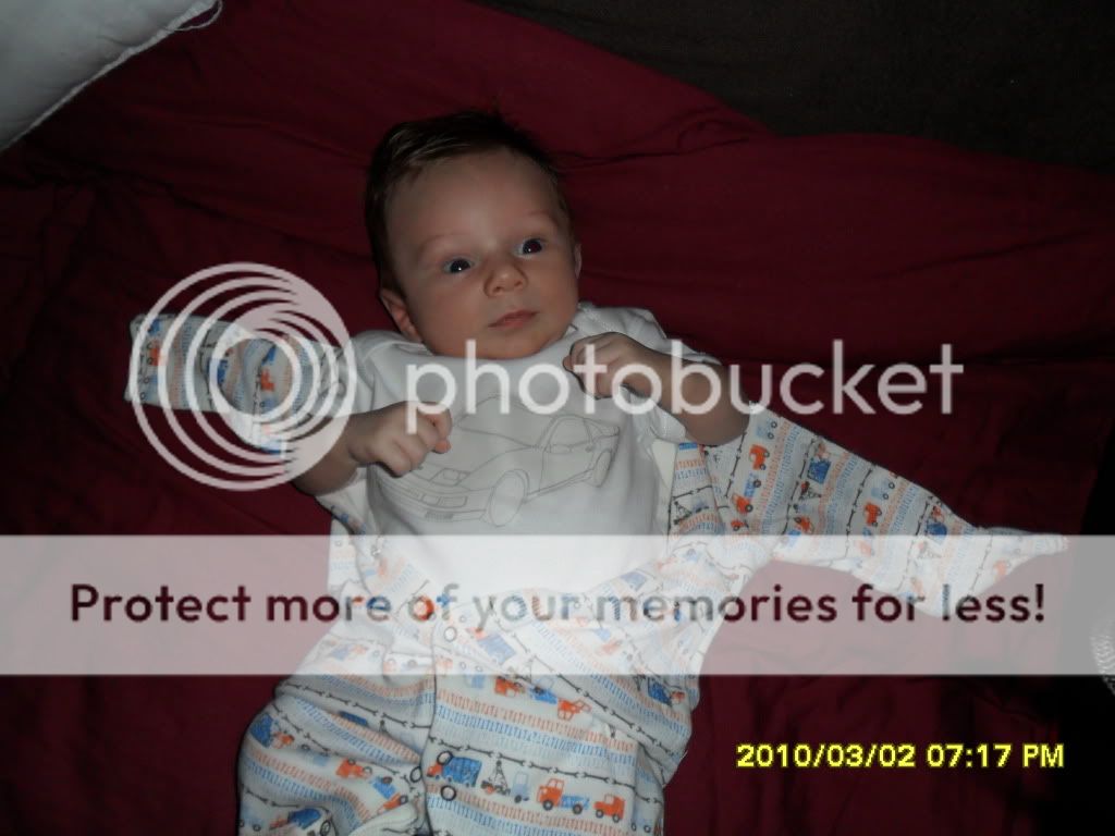 SAM_0355.jpg?t=1299094467